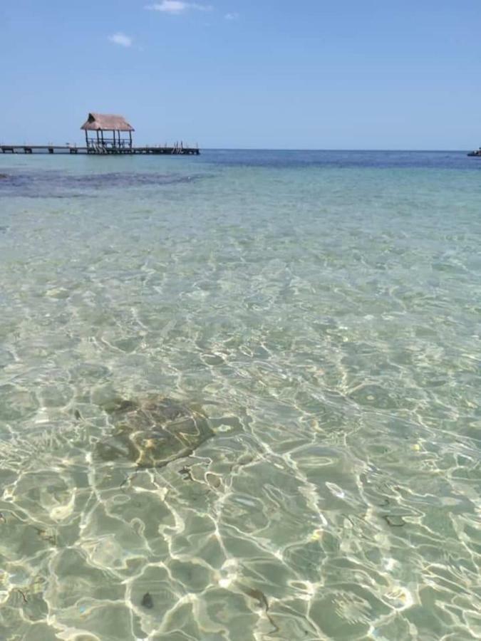 Apartmán Torre Aguamarina Campeche Exteriér fotografie